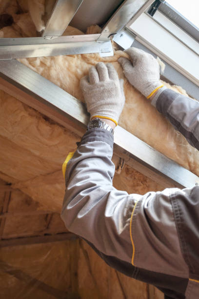 Best Commercial Insulation Contractor  in Lead, SD
