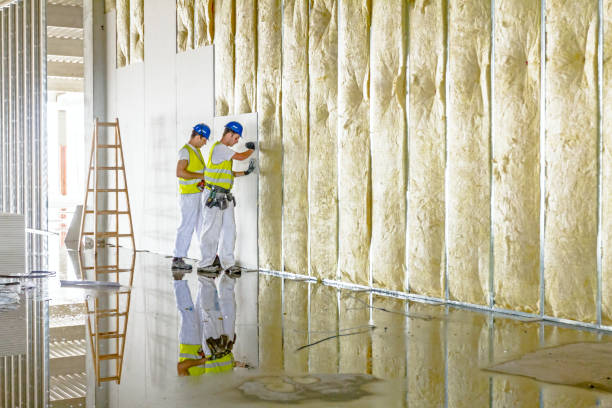 Best Attic Insulation Installation  in Lead, SD